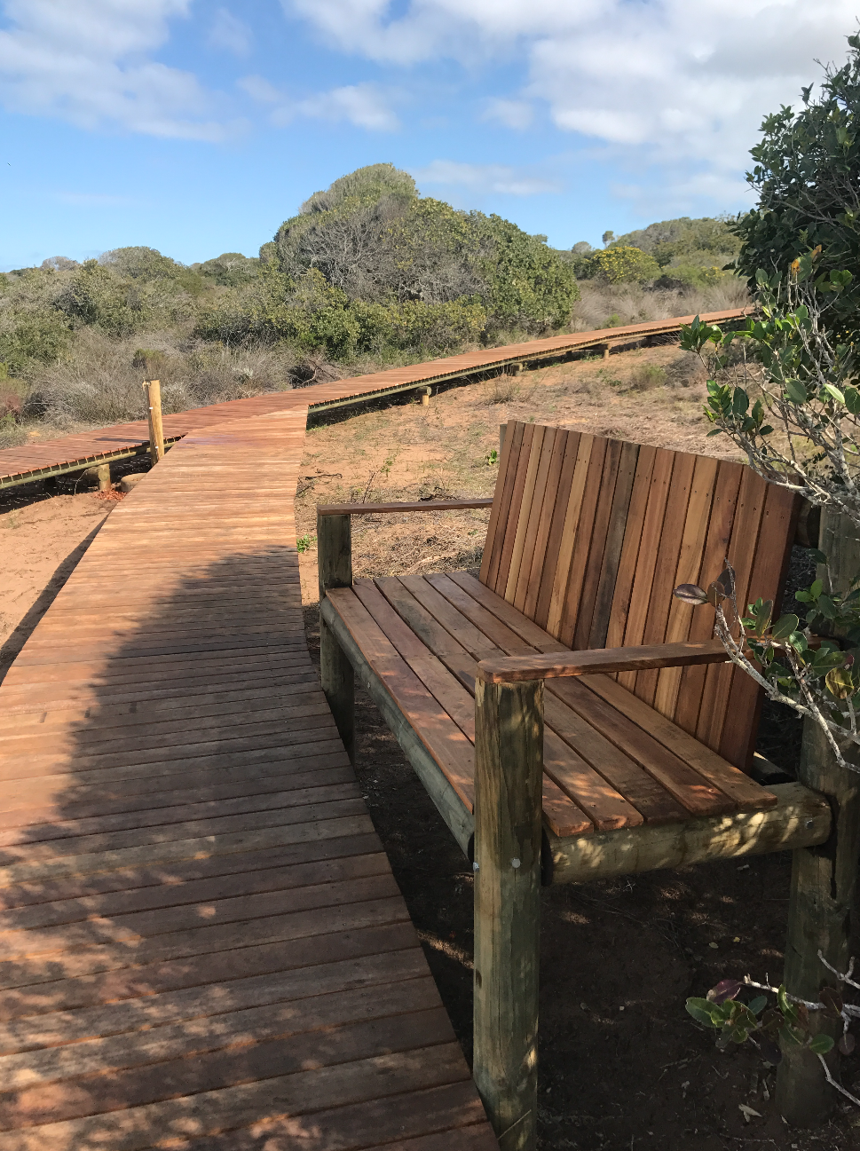 Beach path